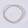 Transparent Glass Beads Strands GLAA-F079-B02-2