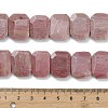Natural Rhodonite Beads Strands G-C285-A05-01-5