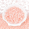 Glass Bugle Beads SEED-N007-28O-2