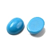 Synthetic Turquoise Cabochons G-G759-Z21-2
