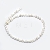 Natural Cultured Freshwater Pearl Beads Strands PEAR-K003-23D-01-2