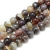 Natural Botswana Agate Beads Strands G-S150-24-6mm-1