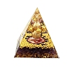 Orgonite Pyramid Resin Energy Generators PW-WGD459A-01-4