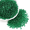 3/0 Baking Paint Glass Fringe Seed Beads SEED-A034-04I-3