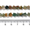 Natural Indian Agate Beads Strands G-B138-C04-01-5