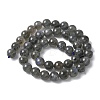 Natural Labradorite Beads Strands G-U017-8MM-01-3