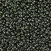 MIYUKI Round Rocailles Beads SEED-X0054-RR0459-3