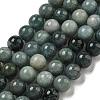 Natural Myanmar Jadeite Beads Strands G-B099-C06-04-1