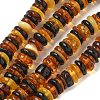 Natural Amber Beads Strands G-K387-C01-02-2