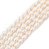 Natural Cultured Freshwater Pearl Beads Strands PEAR-I007-01B-02B-02-2