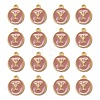 Golden Plated Alloy Enamel Charms ENAM-S118-07Y-2