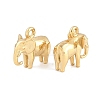 304 Stainless Steel Charms SA-CBA02E8-09G-2