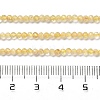 Heated Natural Citrine Beads Strands X-G-Z074-A03-01-5