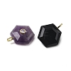 Natural Mixed Stone Pendants G-P588-02G-A-2