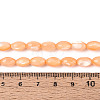 Natural Trochus Shell Beads Strands SHEL-K006-19-01G-4