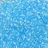 Transparent Colours Glass Seed Beads SEED-P007-02A-10-3