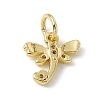 Brass Micro Pave Cubic Zirconia Charms ZIRC-F132-21G-2