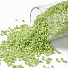 TOHO 11/0 Round Beads X-SEED-TR11-0044-1