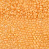 Baking Paint Glass Seed Beads SEED-L011-09A-04-3