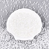 Glass Seed Beads SEED-N007-27G-2