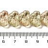 Transparent Glass Beads Strands GLAA-E049-01D-5