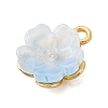 Alloy Glass Charms FIND-C079-05G-04-2