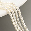 Natural Cultured Freshwater Pearl Beads Strands PEAR-P062-22-2