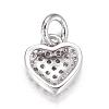 Brass Micro Pave Cubic Zirconia Charms ZIRC-P060-41P-2