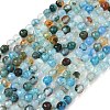 Natural Agate Beads Strands G-H302-A01-13-2
