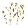 Tibetan Style Alloy Pendants FIND-D040-01AG-1
