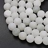 Natural Tianshan Cui Quartzite Beads Strands G-G305-A02-10mm-4