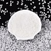FGB Frosted Transparent Glass Seed Beads SEED-N013-06A-01-2