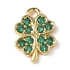 Brass Micro Pave Cubic Zirconia Charms X-KK-I276-44G-1