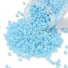 TOHO 6/0 Round Beads SEED-XTR06-0143-1