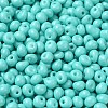 6/0 Opaque Baking Paint Glass Seed Beads X1-SEED-M012-02A-01-3