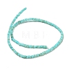 Dyed Natural Freshwater Shell Beads Strands X1-BSHE-G039-07C-2