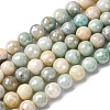 Natural Amazonite Beads Strands G-O164-02-8mm-2