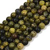 Natural Yellow Turquoise(Jasper) Beads Strands G-F591-25-10mm-2