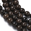 Natural Wood Lace Stone Wooden Jasper Beads Strands G-K365-F03-6mm-4