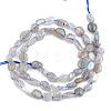Natural Labradorite Beads Strands G-S359-139-2