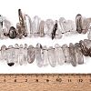 Natural Green Lodolite Quartz/Garden Quartz/Green Phantom Quartz Beads Strands G-N362-16A-01-5