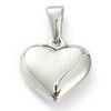 304 Stainless Steel Pendants STAS-P278-01V-P-2