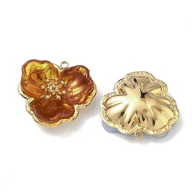 304 Stainless Steel Pendants STAS-F345-04G-1