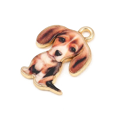 Alloy Pendants FIND-B062-07A-1