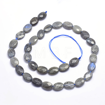Natural Labradorite Beads Strands G-K223-62B-1