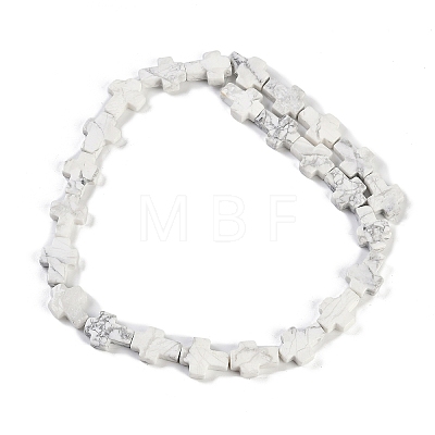 Natural Howlite Beads Strands G-I369-A18-02-1