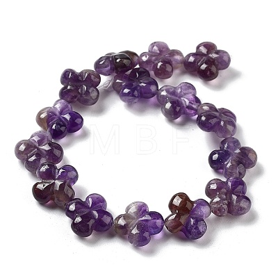 Natural Amethyst Beads Strands G-P520-A07-01-1
