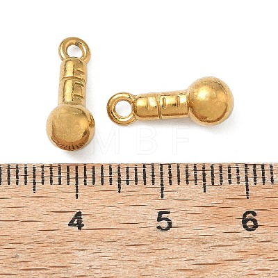 304 Stainless Steel Charms STAS-P439-01A-G-1