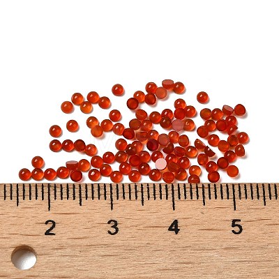 Natural Carnelian Dome/Half Round Cabochons G-G037-01B-04-1