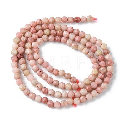 Natural Rhodonite Beads Strands G-F748-U01-02-1